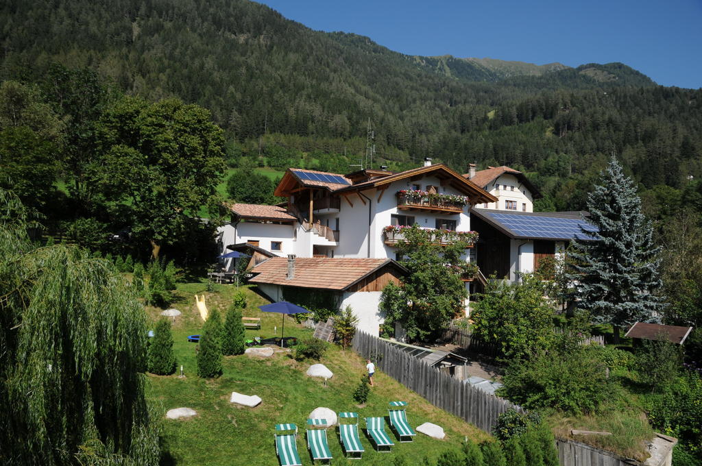 Farm stay Chalet & Zingerlehof Trens *